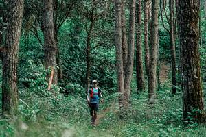 BIB: 
                            <button type="button" onclick="openModal(25235794)" class="btn btn-primary btn-sm float-right btn-popup" data-toggle="modal" data-target=".modal-high-quality">
                        <i class="fas fa-shopping-cart"></i> Add to Cart
                    </button>
                                            <button type="button" onclick="isThisMe(25235794, true)" class="btn btn-success btn-sm float-right btn-popup btn-isme hidden" data-toggle="tooltip" data-placement="bottom" title="นี่คือรูปของคุณใช่ไหม คลิกที่นี่เพื่อเอาเข้าอัลบั้ม">
                        <i class="fas fa-plus"></i> Add to album
                    </button>
                    <button type="button" onclick="isThisMe(25235794, false)" class="btn btn-warning btn-sm float-right btn-popup btn-isnotme hidden">
                        <i class="fas fa-ban"></i> Remove from album
                    </button>